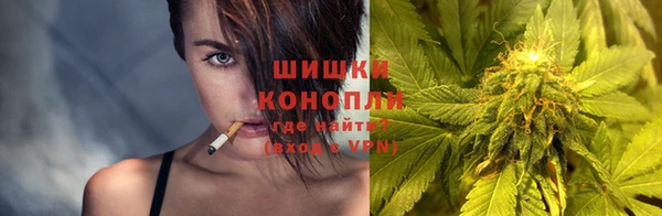 МДПВ Вяземский