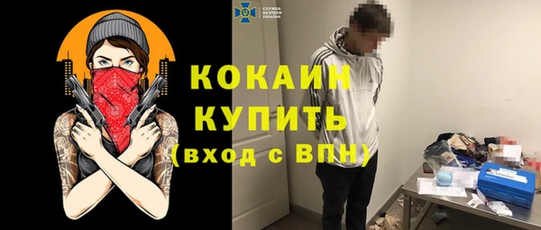 МДПВ Вяземский