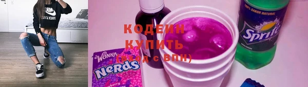 МДПВ Вяземский