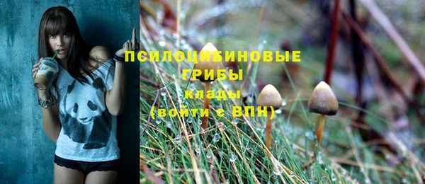 МДПВ Вяземский