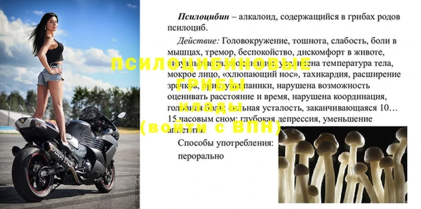 МДПВ Вяземский