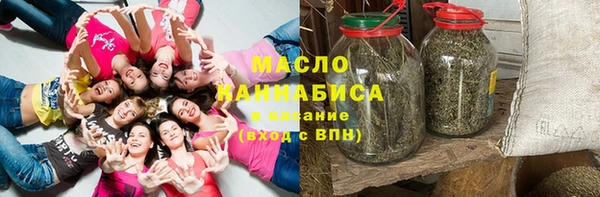 МДПВ Вяземский