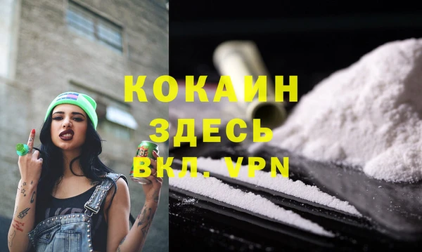 МДПВ Вяземский